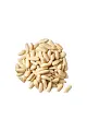 Pine Nut 10kg 松子